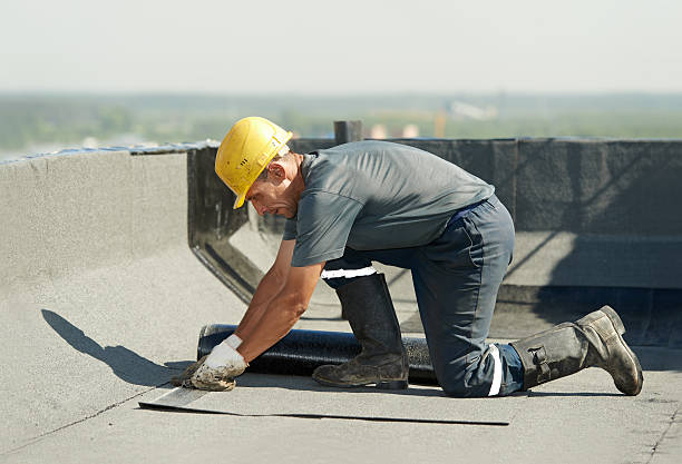 Best Cellulose Insulation  in Platteville, WI